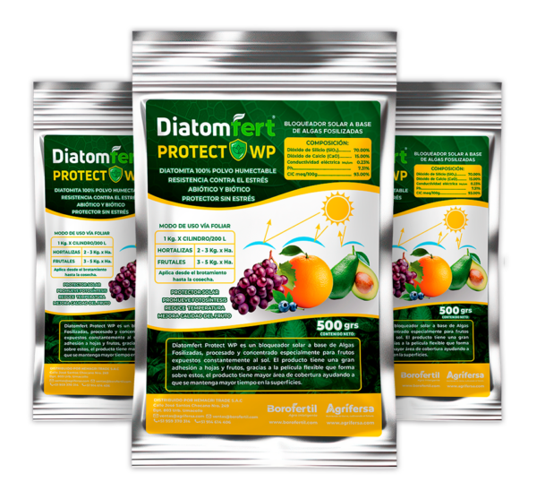Diatomfert® Protect WP